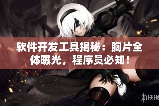 软件开发工具揭秘：胸片全体曝光，程序员必知！