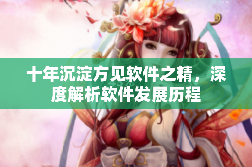 十年沉淀方见软件之精，深度解析软件发展历程