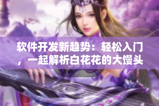 软件开发新趋势：轻松入门，一起解析白花花的大馒头