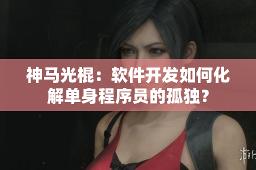 神马光棍：软件开发如何化解单身程序员的孤独？