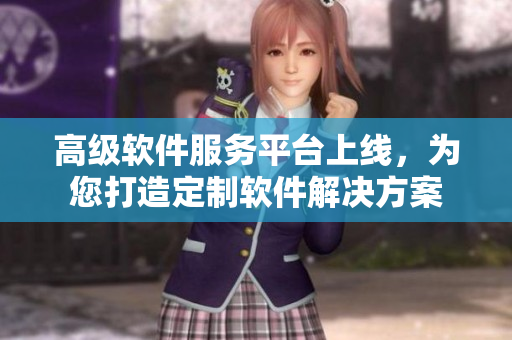 高级软件服务平台上线，为您打造定制软件解决方案
