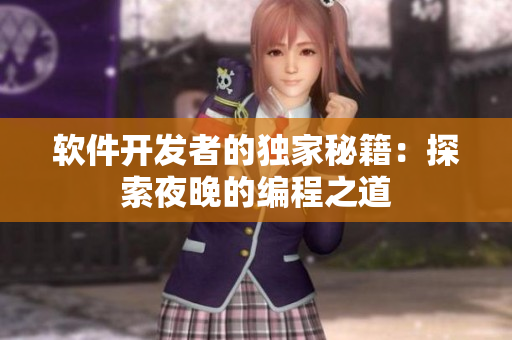 软件开发者的独家秘籍：探索夜晚的编程之道