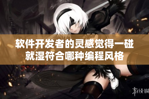 软件开发者的灵感觉得一碰就湿符合哪种编程风格