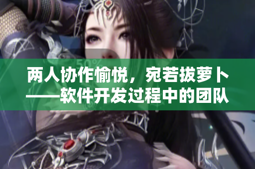 两人协作愉悦，宛若拔萝卜——软件开发过程中的团队合作技巧