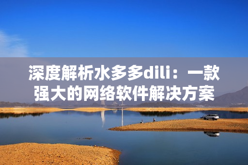 深度解析水多多dili：一款强大的网络软件解决方案