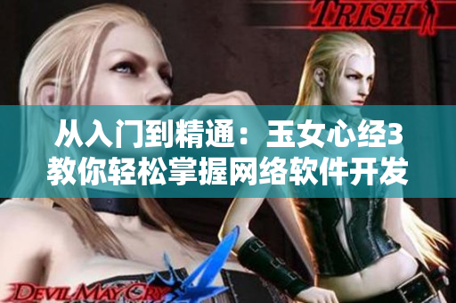从入门到精通：玉女心经3教你轻松掌握网络软件开发！