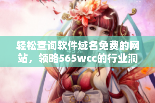 轻松查询软件域名免费的网站，领略565wcc的行业洞见