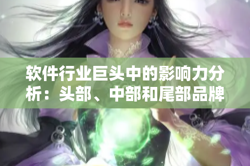软件行业巨头中的影响力分析：头部、中部和尾部品牌排名