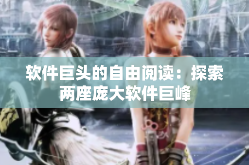 软件巨头的自由阅读：探索两座庞大软件巨峰