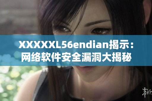 XXXXXL56endian揭示：网络软件安全漏洞大揭秘
