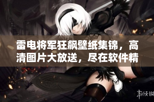 雷电将军狂飙壁纸集锦，高清图片大放送，尽在软件精选！