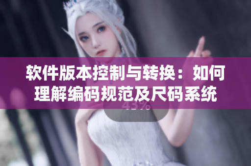 软件版本控制与转换：如何理解编码规范及尺码系统