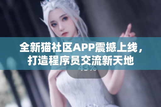 全新猫社区APP震撼上线，打造程序员交流新天地