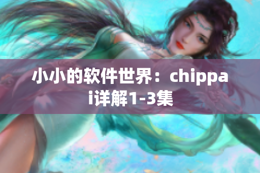 小小的软件世界：chippai详解1-3集