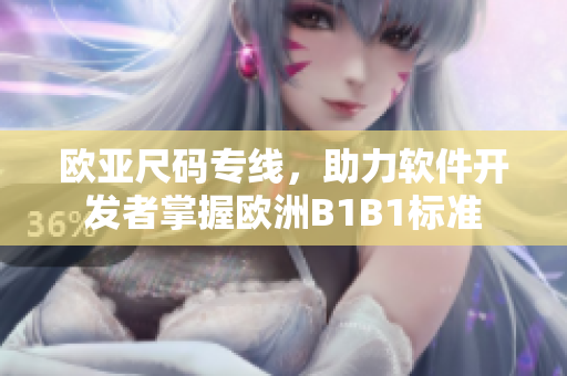 欧亚尺码专线，助力软件开发者掌握欧洲B1B1标准