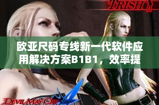 欧亚尺码专线新一代软件应用解决方案B1B1，效率提升多国工业生产
