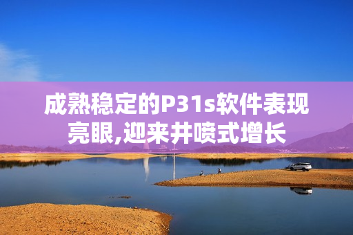 成熟稳定的P31s软件表现亮眼,迎来井喷式增长