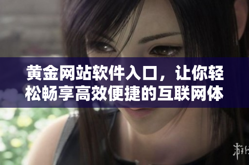 黄金网站软件入口，让你轻松畅享高效便捷的互联网体验