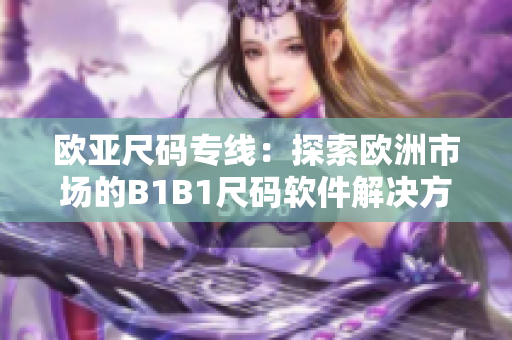 欧亚尺码专线：探索欧洲市场的B1B1尺码软件解决方案