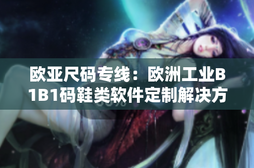 欧亚尺码专线：欧洲工业B1B1码鞋类软件定制解决方案