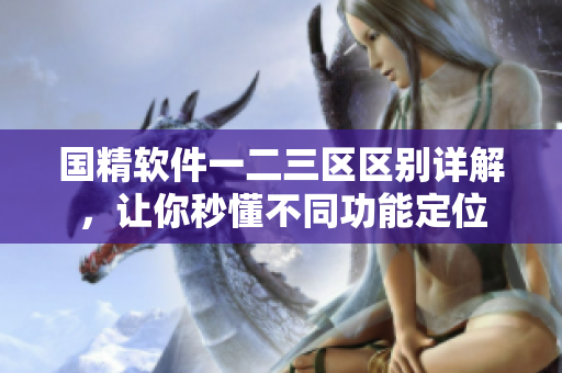 国精软件一二三区区别详解，让你秒懂不同功能定位