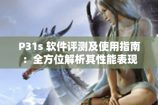 P31s 软件评测及使用指南：全方位解析其性能表现
