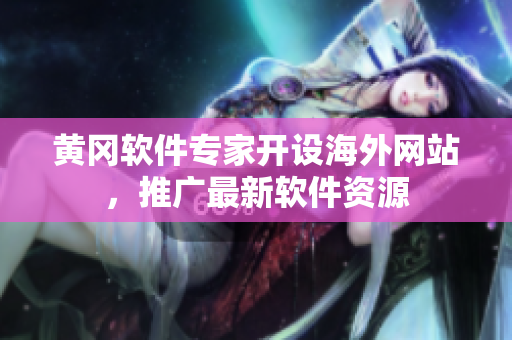 黄冈软件专家开设海外网站，推广最新软件资源