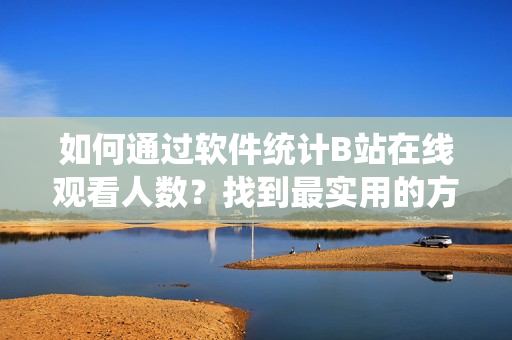 如何通过软件统计B站在线观看人数？找到最实用的方法！
