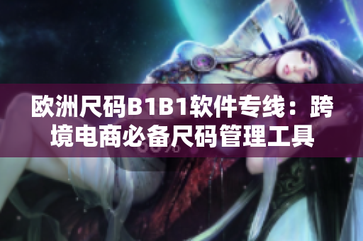 欧洲尺码B1B1软件专线：跨境电商必备尺码管理工具