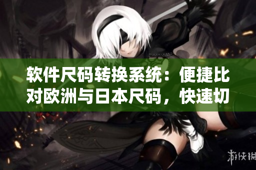 软件尺码转换系统：便捷比对欧洲与日本尺码，快速切换不同标准