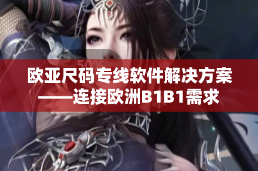 欧亚尺码专线软件解决方案——连接欧洲B1B1需求