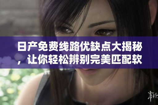 日产免费线路优缺点大揭秘，让你轻松辨别完美匹配软件需求