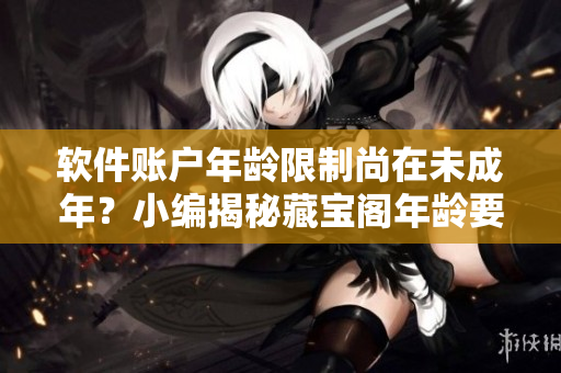 软件账户年龄限制尚在未成年？小编揭秘藏宝阁年龄要求