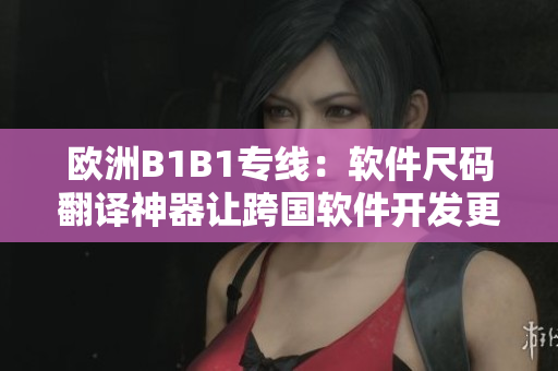 欧洲B1B1专线：软件尺码翻译神器让跨国软件开发更轻松