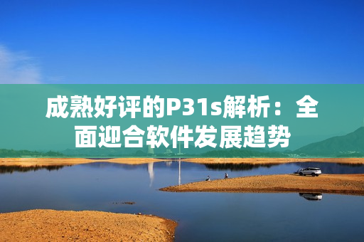 成熟好评的P31s解析：全面迎合软件发展趋势