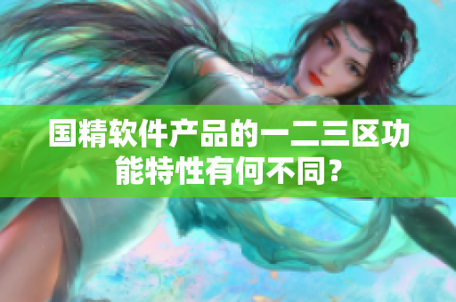国精软件产品的一二三区功能特性有何不同？