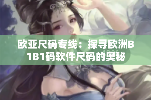 欧亚尺码专线：探寻欧洲B1B1码软件尺码的奥秘