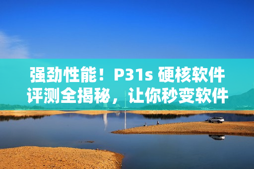 强劲性能！P31s 硬核软件评测全揭秘，让你秒变软件专家