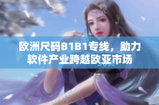 欧洲尺码B1B1专线，助力软件产业跨越欧亚市场