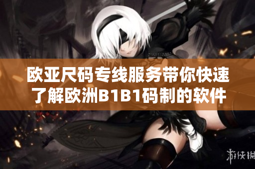 欧亚尺码专线服务带你快速了解欧洲B1B1码制的软件开发要点