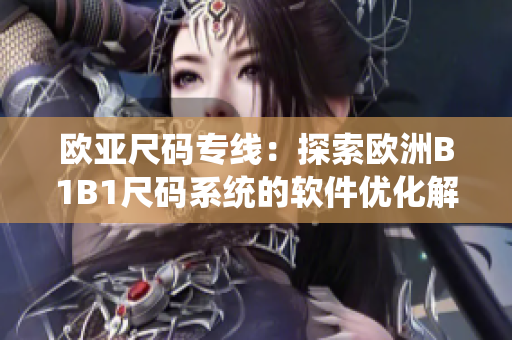 欧亚尺码专线：探索欧洲B1B1尺码系统的软件优化解决方案