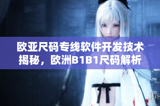欧亚尺码专线软件开发技术揭秘，欧洲B1B1尺码解析详细指南