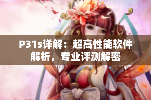 P31s详解：超高性能软件解析，专业评测解密
