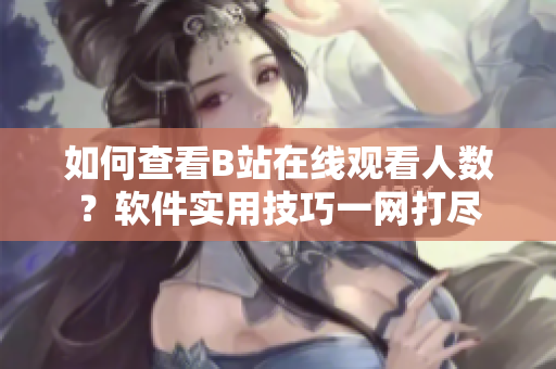 如何查看B站在线观看人数？软件实用技巧一网打尽