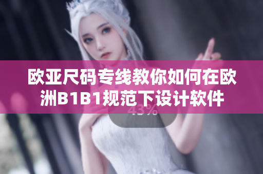 欧亚尺码专线教你如何在欧洲B1B1规范下设计软件