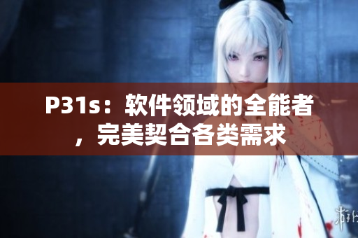 P31s：软件领域的全能者，完美契合各类需求