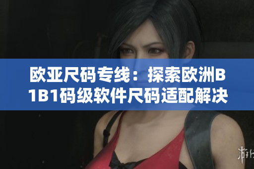 欧亚尺码专线：探索欧洲B1B1码级软件尺码适配解决方案