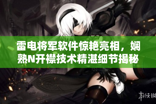 雷电将军软件惊艳亮相，娴熟N开襟技术精湛细节揭秘
