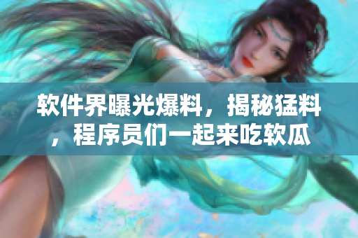 软件界曝光爆料，揭秘猛料，程序员们一起来吃软瓜