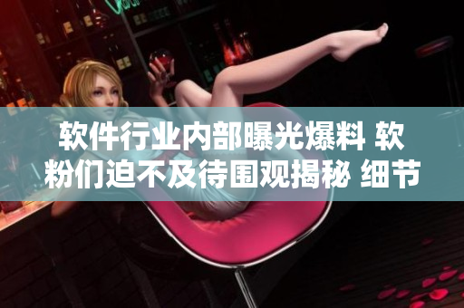 软件行业内部曝光爆料 软粉们迫不及待围观揭秘 细节全揭露